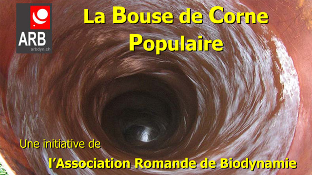Bouse de Corne populaire de l'ARB au Domaine Piccard - 7 juin dès 17h00