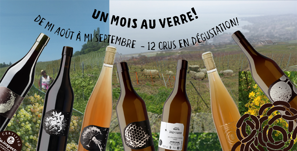 Nos Nouveautés;  Nature ou biodynamiques, ou les deux... dès mi-aôut, tous au verre!